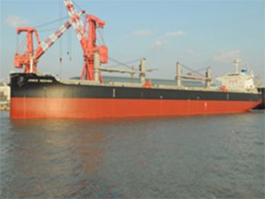 CLOAD Commissioning for One 61000DWT Bulk Carrier 2 300x225